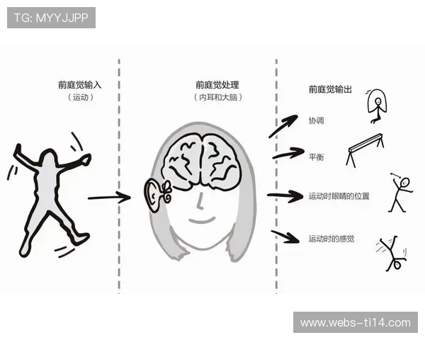跳水长期训练对前庭系统功能的影响研究 跳水长期训练对前庭系统功能的影响研究